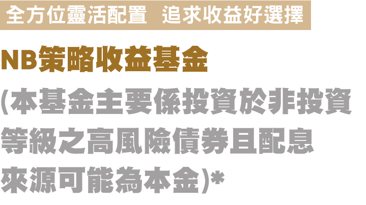 NB策略收益基金
